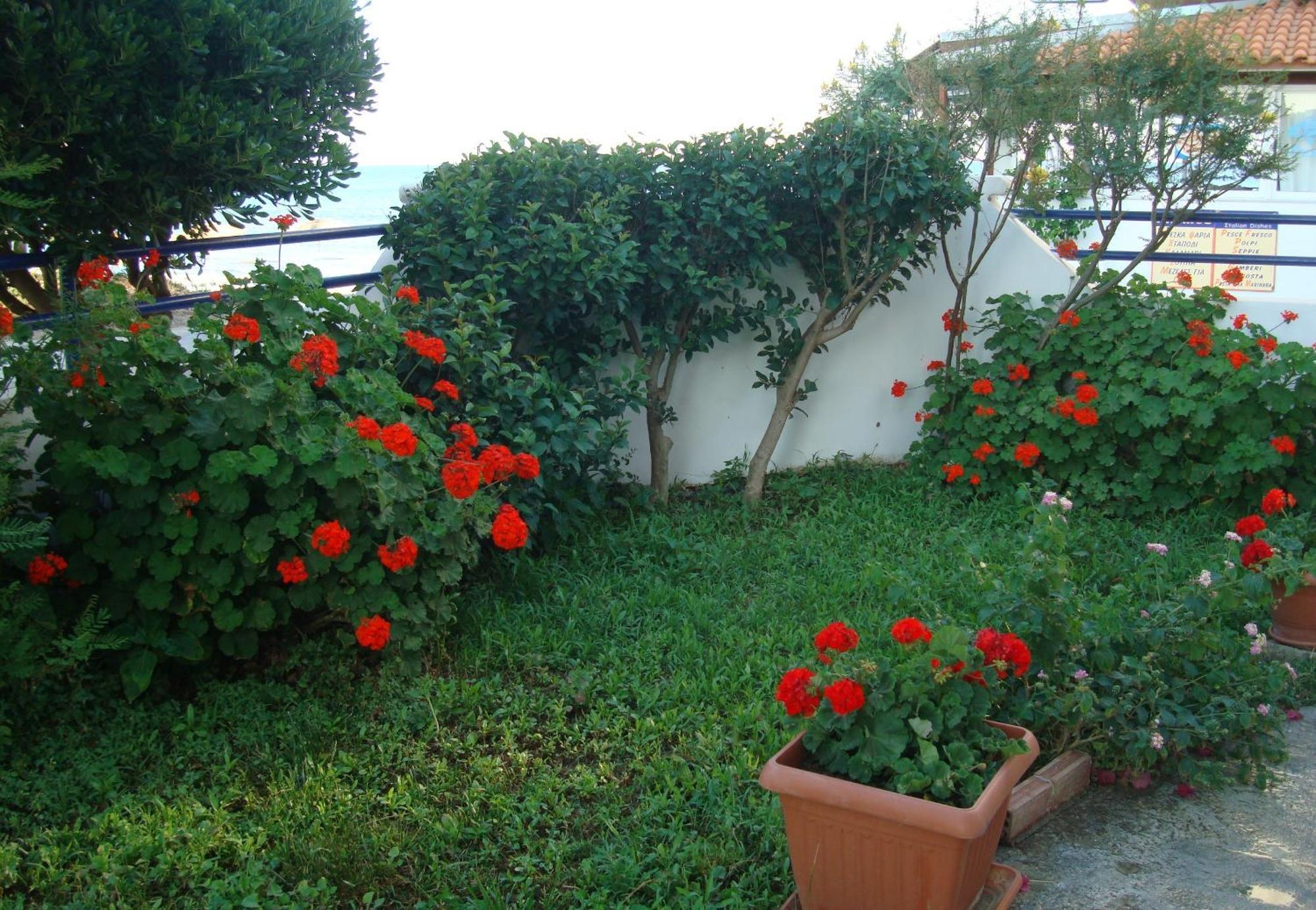 Philippos Studios & Apartments Kardamena  Esterno foto