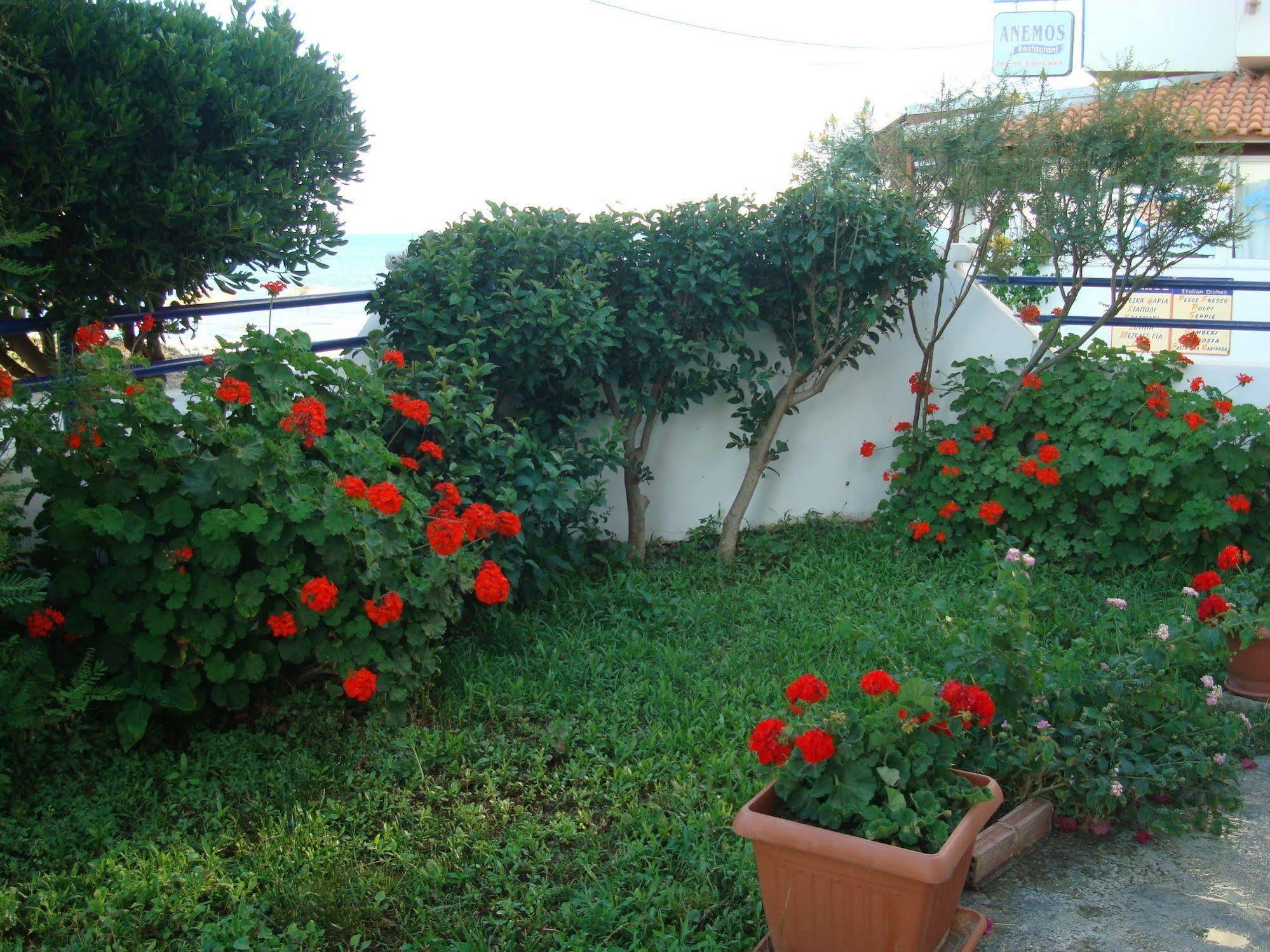 Philippos Studios & Apartments Kardamena  Esterno foto